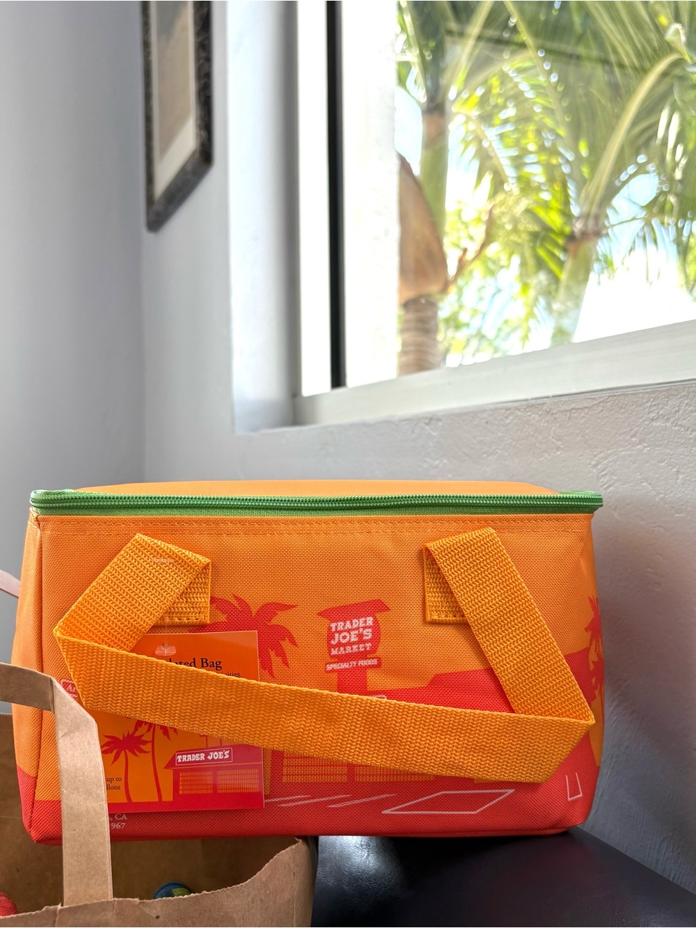 Trader Joe's Mini Insulated Tote